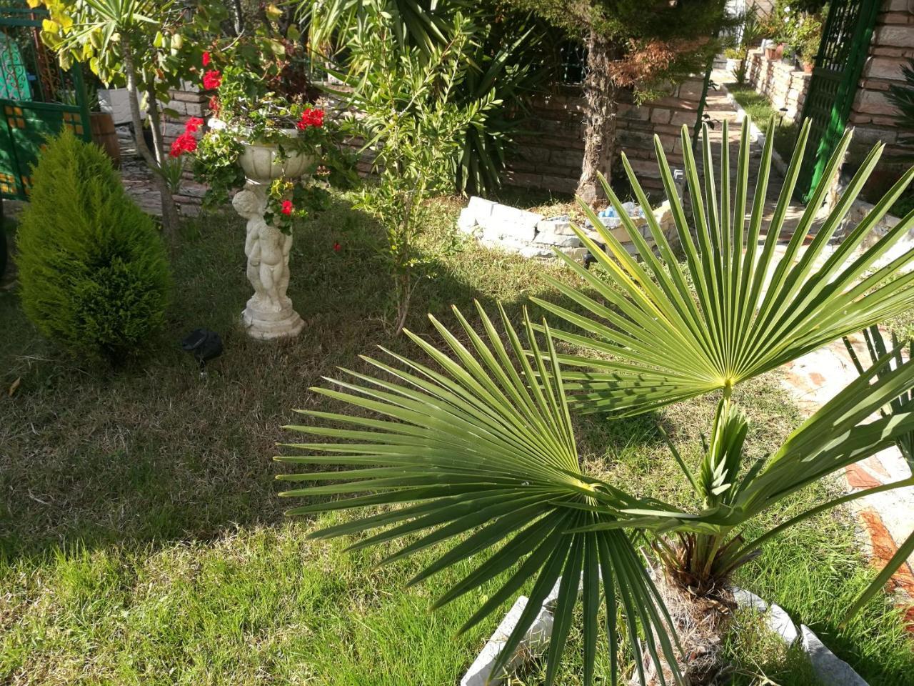 Arti Vila Ksamil Luaran gambar